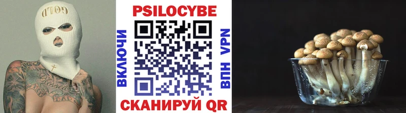 Псилоцибиновые грибы прущие грибы  Морозовск 