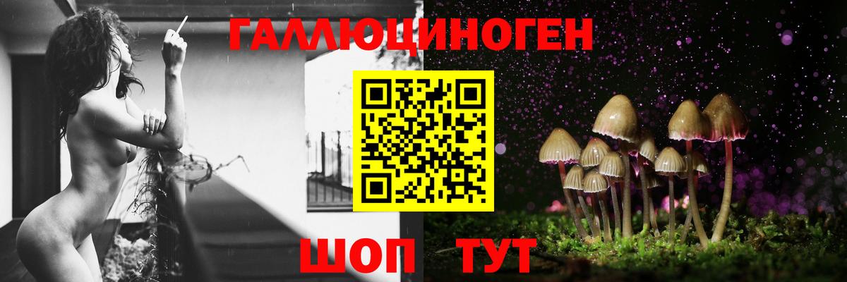Морозовск  Псилоцибиновые грибы Cubensis  Вход с VPN 